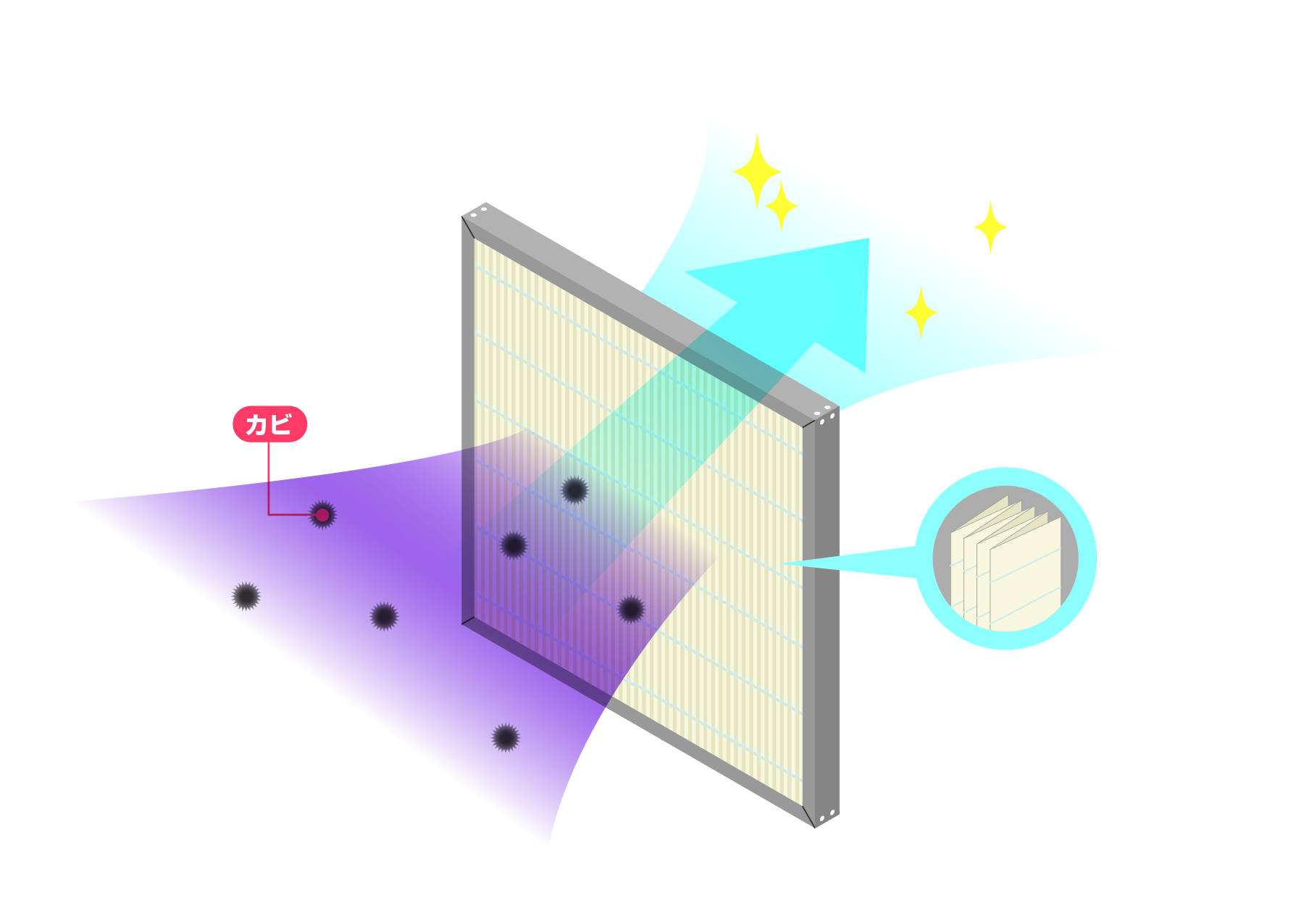 防カビフィルタ